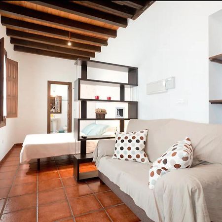 Apartamentos Centro Historico A Los Pies De La Alhambra Granada Dış mekan fotoğraf